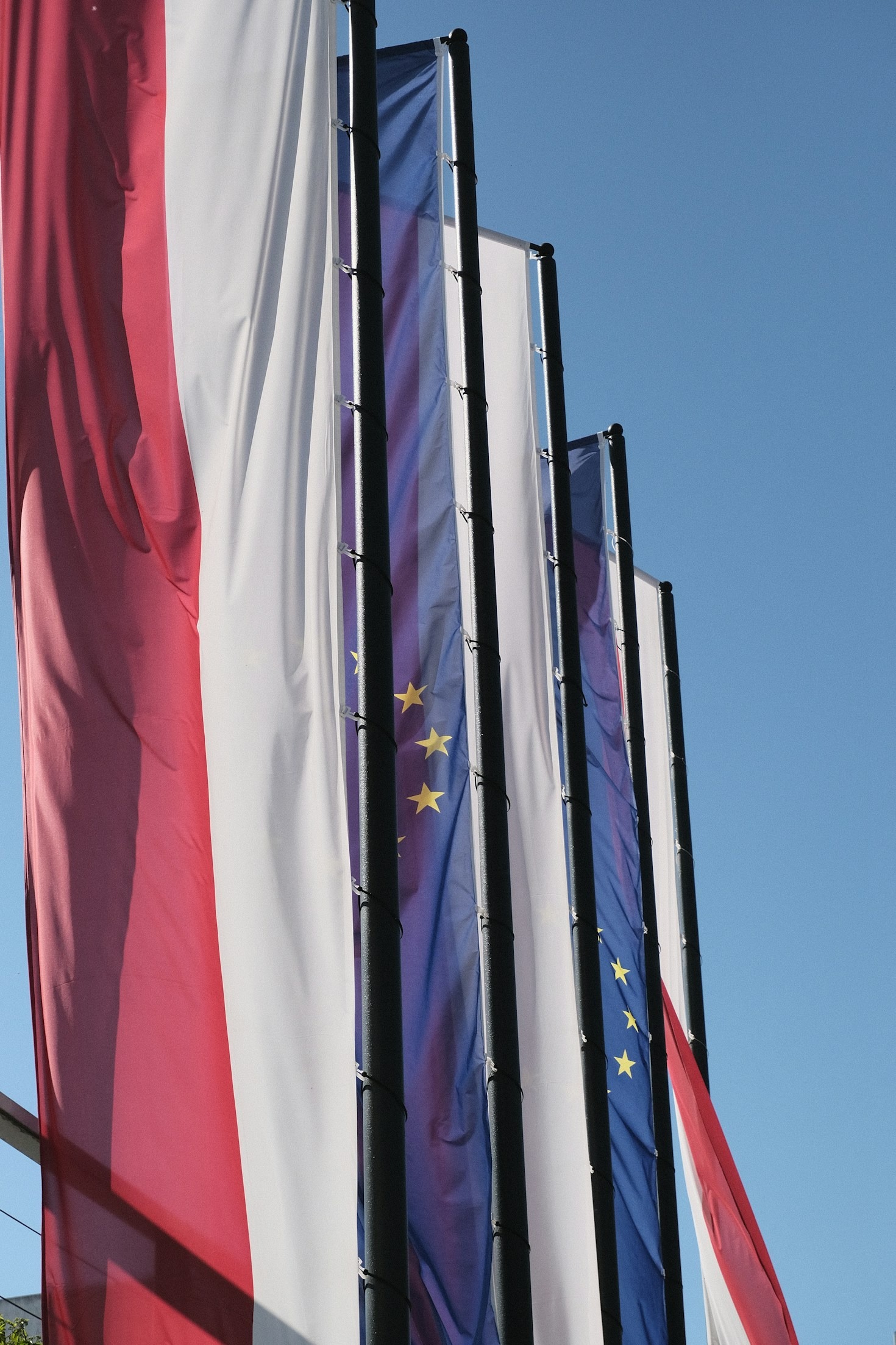 Building Bridges: IVLP and Global Diplomacy